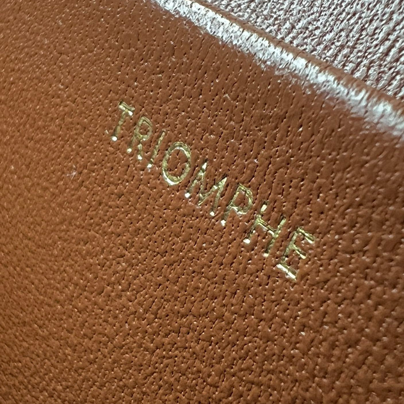 CELINE TRIOMPHE 20 WHITE PATTERN CALFSKIN