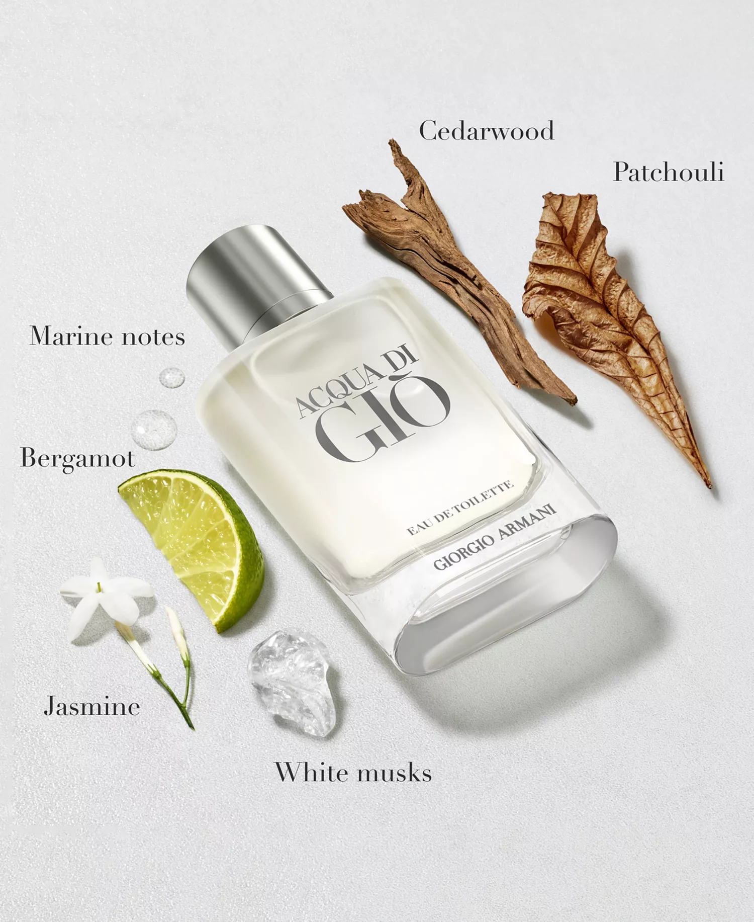 Acqua di Giò Eau de Toilette — Fresh Marine Bergamot & Cedarwood Men’s Luxury Fragrance | Refillable Spray 100ml